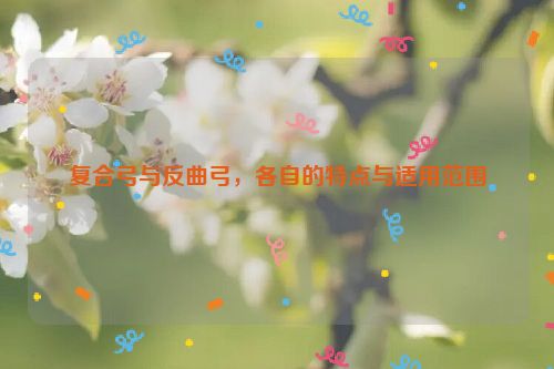 复合弓与反曲弓，各自的特点与适用范围