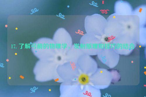 17. 了解弓箭的物理学，发射原理和技巧的结合